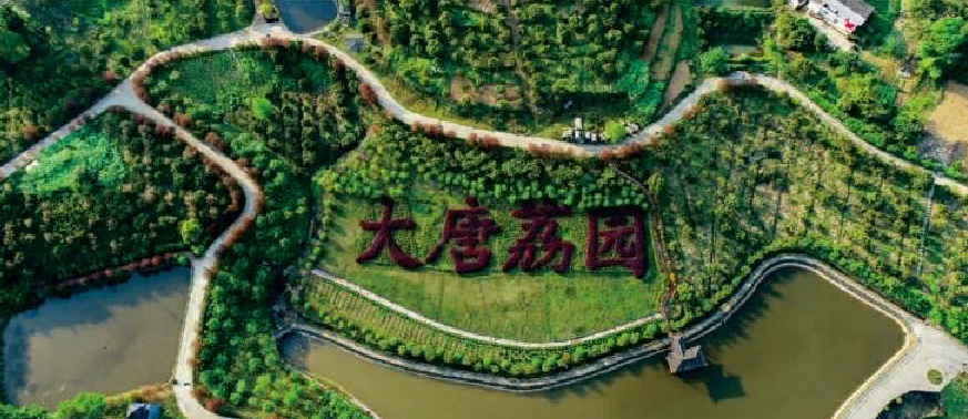 640 (1).png